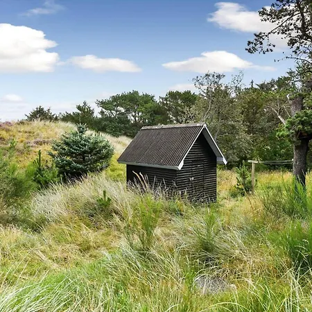 Bv374-blavand-krogsande-22 *